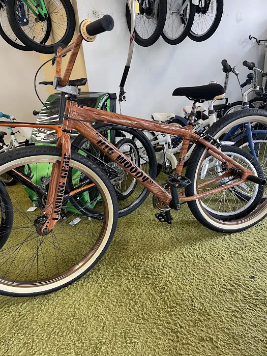 pv Bicycle Shop Picture 6