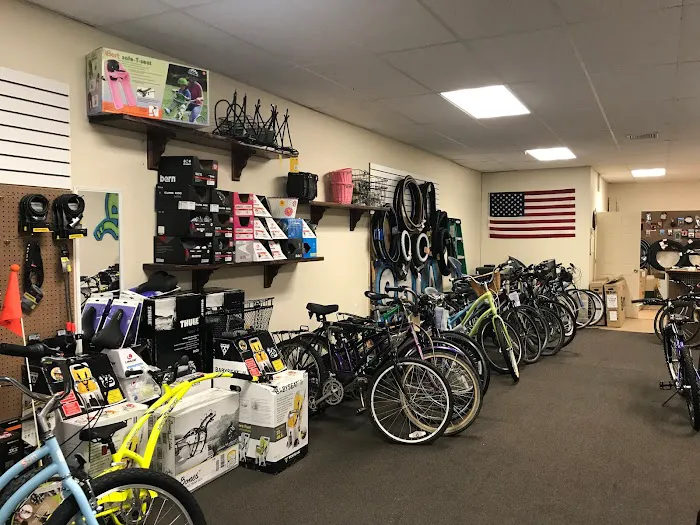 10538 Bicycles Picture 5
