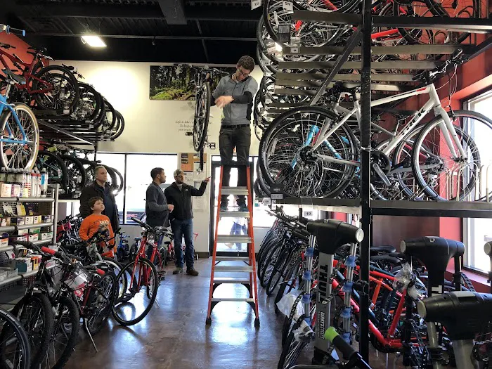 Danny's Cycles - Rye Brook Picture 5