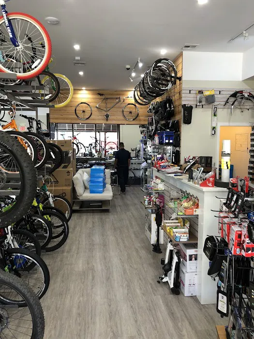River Bicycles Picture 3