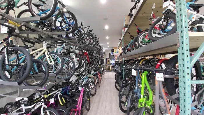 River Bicycles Picture 7