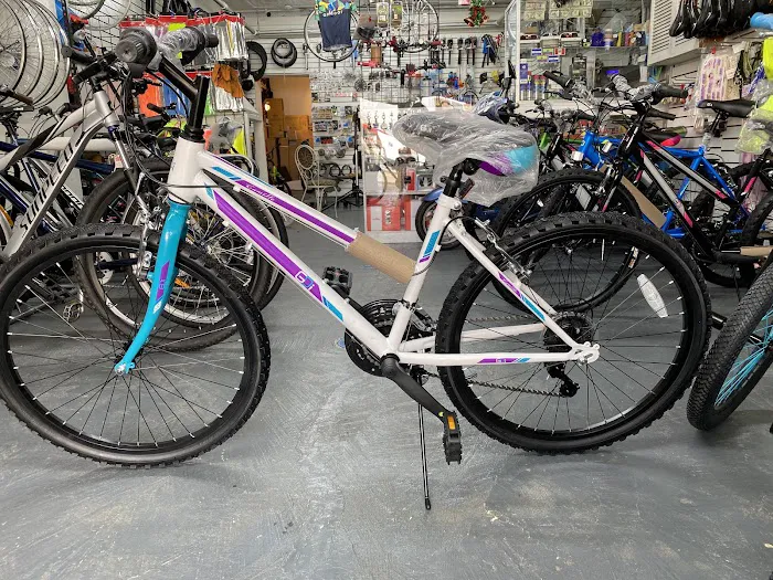 M&VBIKEshop Picture 2