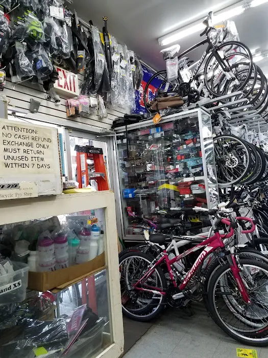 Westchester Bicycle Pro Shop Picture 2