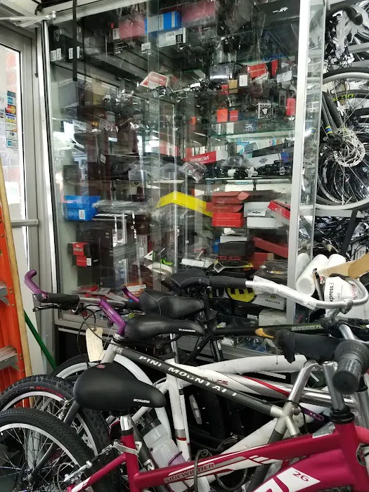 Westchester Bicycle Pro Shop Picture 5