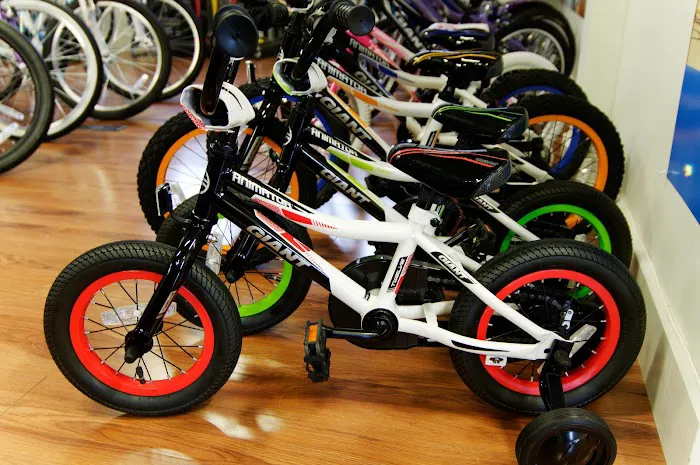 New Canaan Bicycles Picture 4