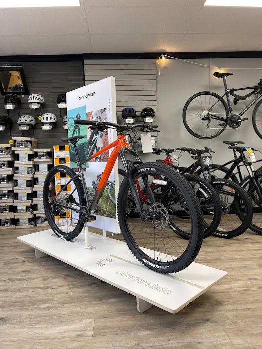 Bax Cycles (formerly Dave's Cycle) Picture 7