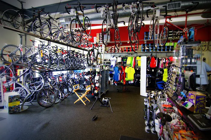 Greenwich Bicycles Picture 6