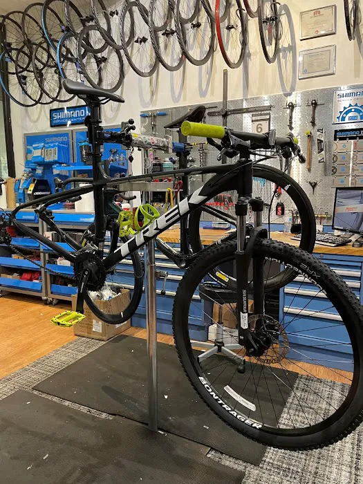 Signature Cycles Picture 4