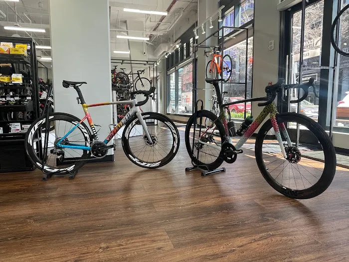 Conte's Bike Shop Picture 3