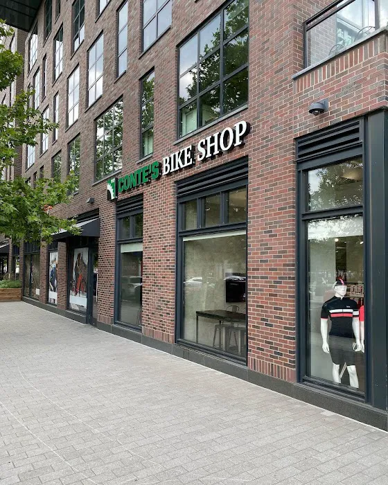 Conte's Bike Shop Picture 2