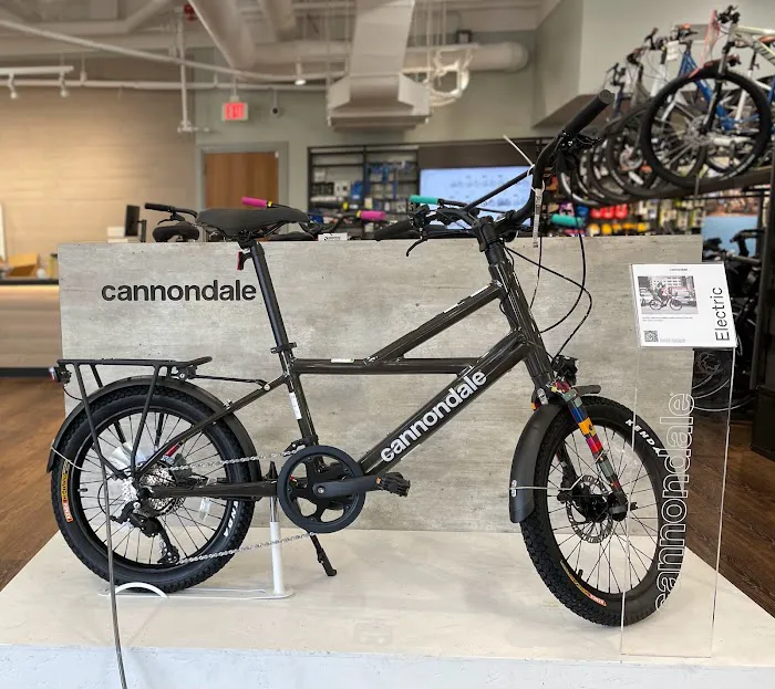Conte's Bike Shop Picture 7