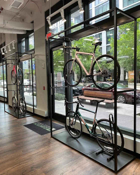 Conte's Bike Shop Picture 8