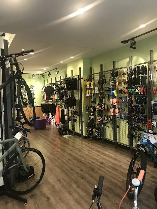 Conte's Bike Shop Picture 6