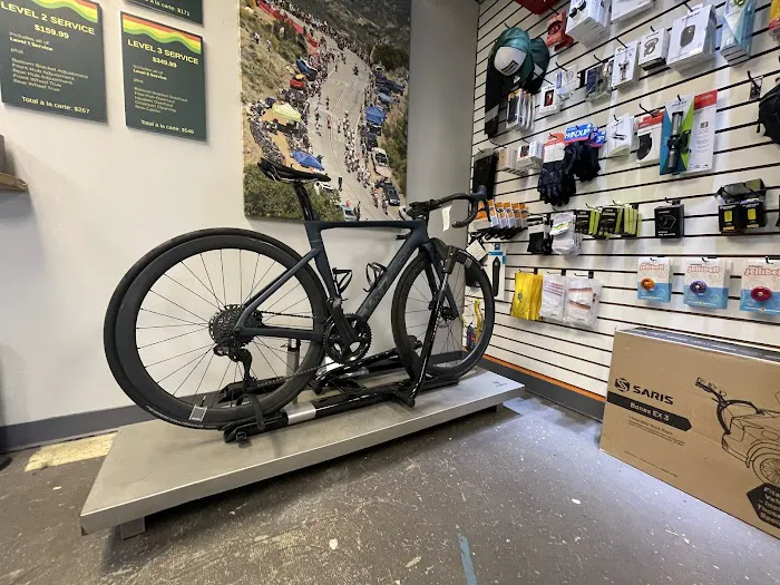 Haymarket Bicycles Picture 3