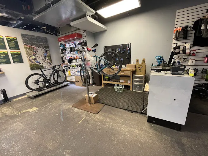 Haymarket Bicycles Picture 6