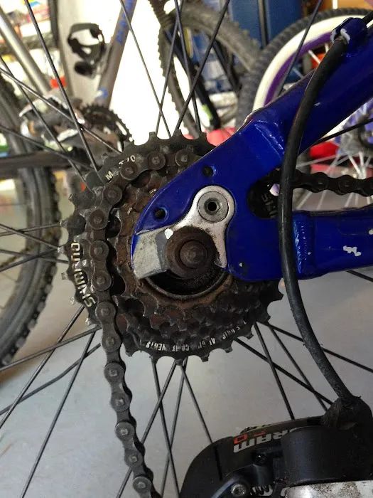 Trek Bicycle Springfield Picture 8