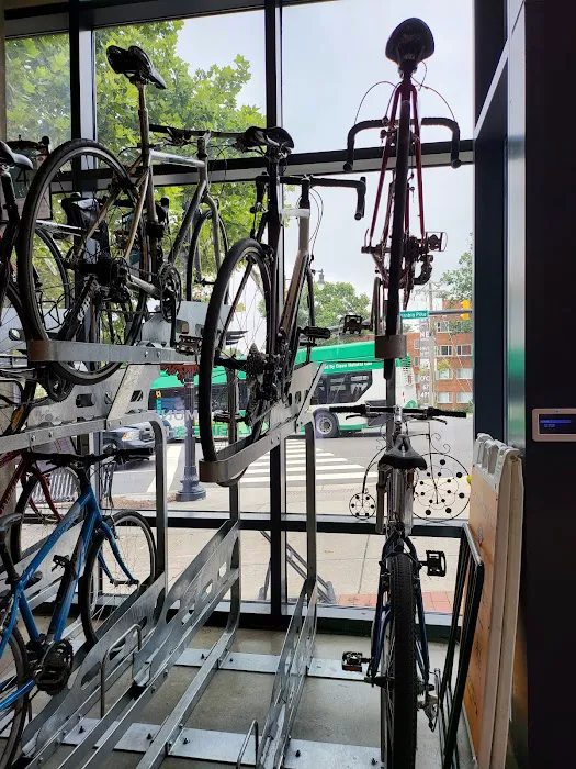 Phoenix Bikes Picture 4