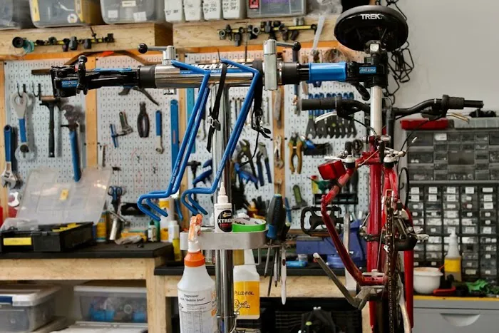 Phoenix Bikes Picture 3