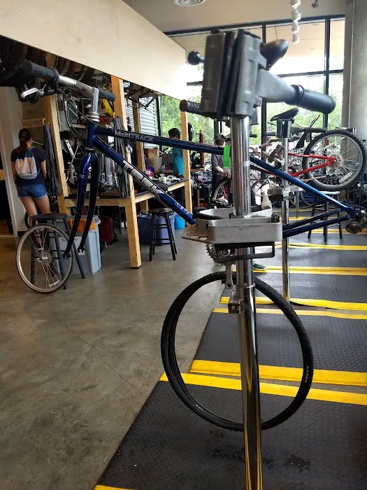 Phoenix Bikes Picture 7