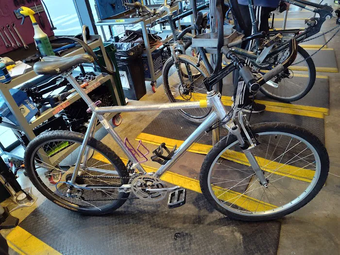 Phoenix Bikes Picture 6