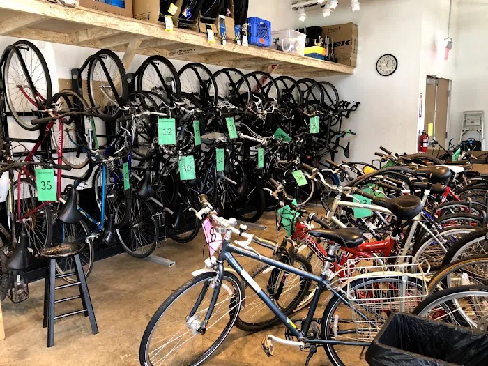 Phoenix Bikes Picture 8