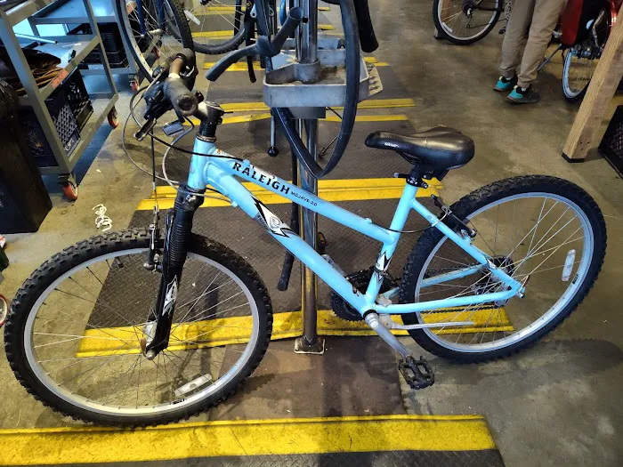 Phoenix Bikes Picture 9
