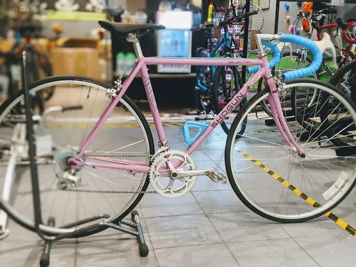 Rats Cycles Picture 1