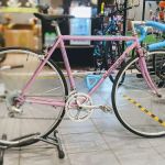 Rats Cycles