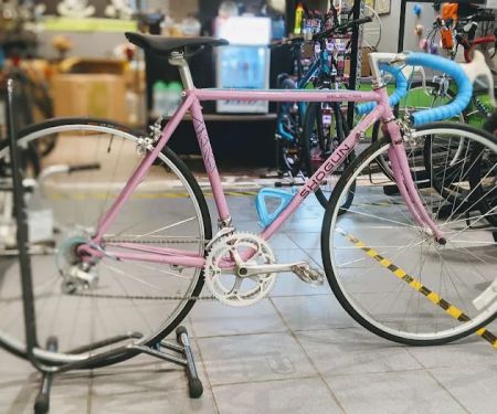 Rats Cycles