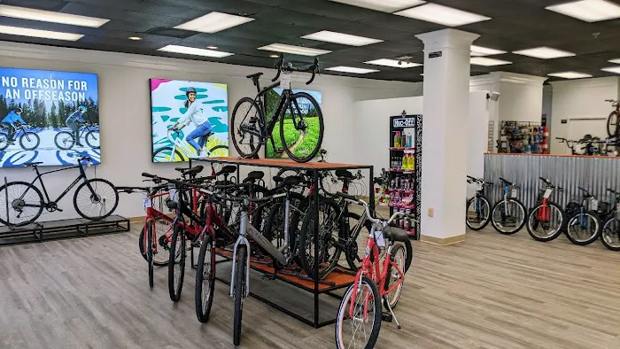 Rats Cycles Picture 2