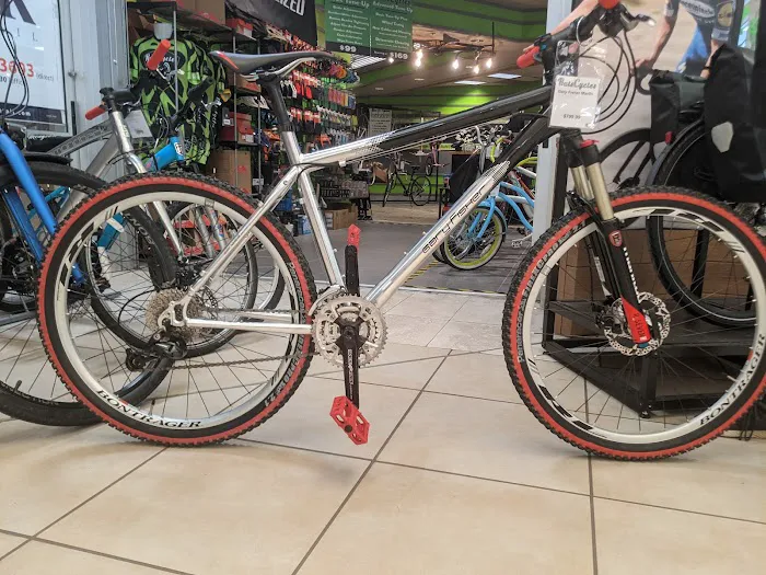 Rats Cycles Picture 6