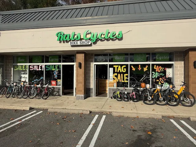 Rats Cycles Picture 9