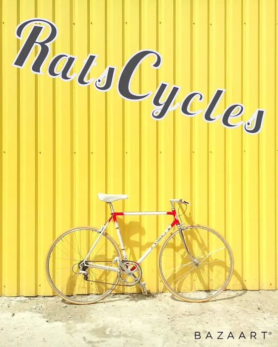 Rats Cycles Picture 10