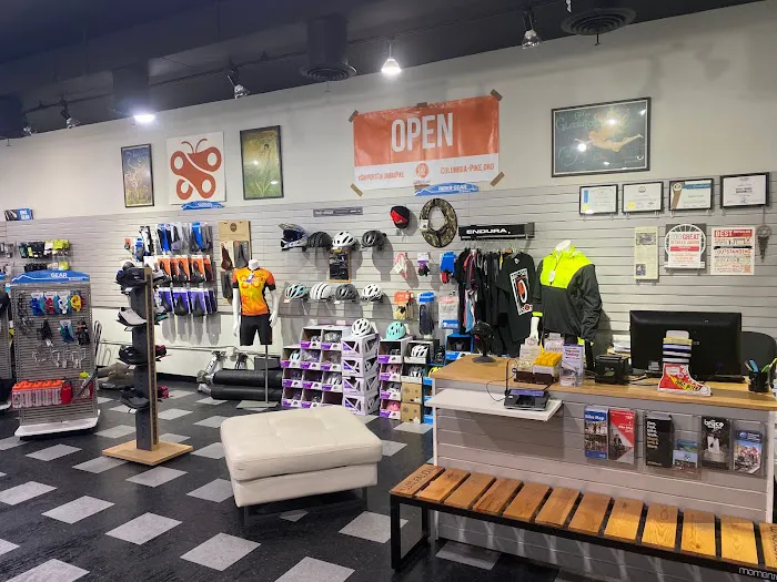 Papillon Cycles Picture 2