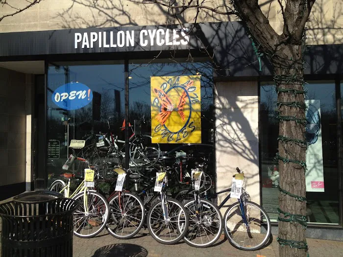 Papillon Cycles Picture 1