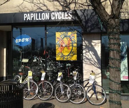 Papillon Cycles