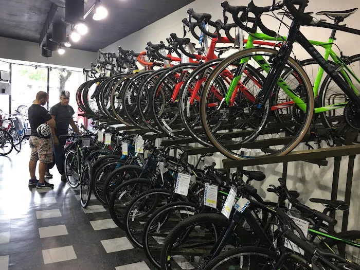 Papillon Cycles Picture 3