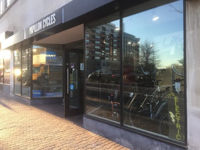 Papillon Cycles Picture 6