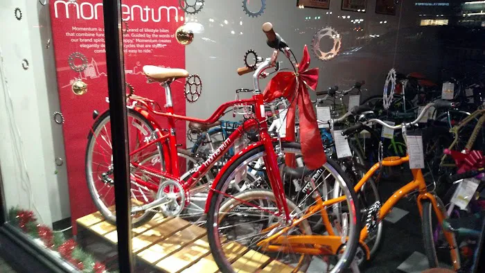 Papillon Cycles Picture 9