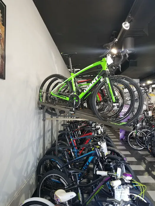 Papillon Cycles Picture 10