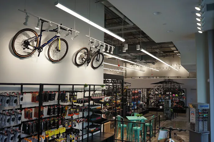 Conte's Bike Shop Picture 3