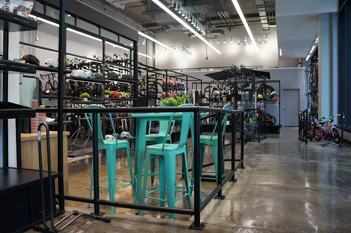 Conte's Bike Shop Picture 2