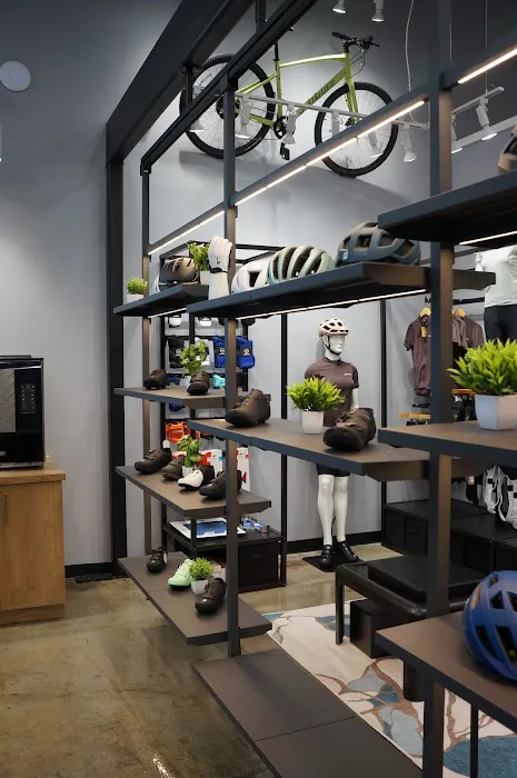 Conte's Bike Shop Picture 4
