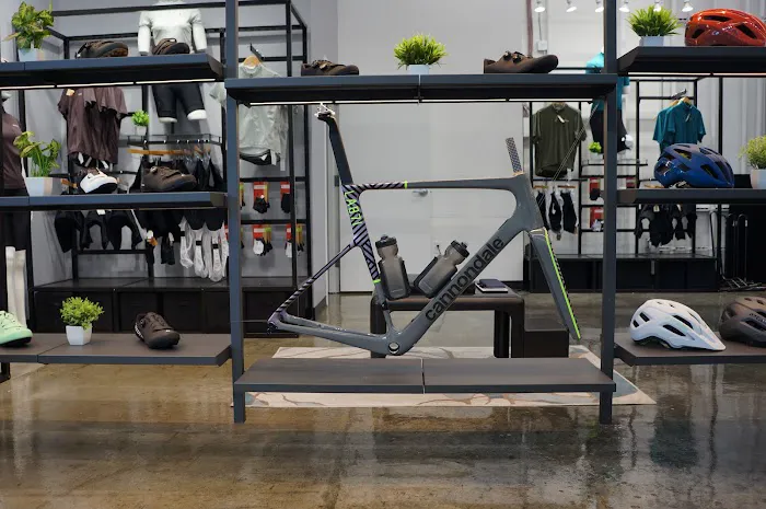 Conte's Bike Shop Picture 6