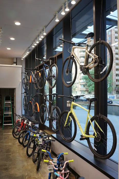 Conte's Bike Shop Picture 5