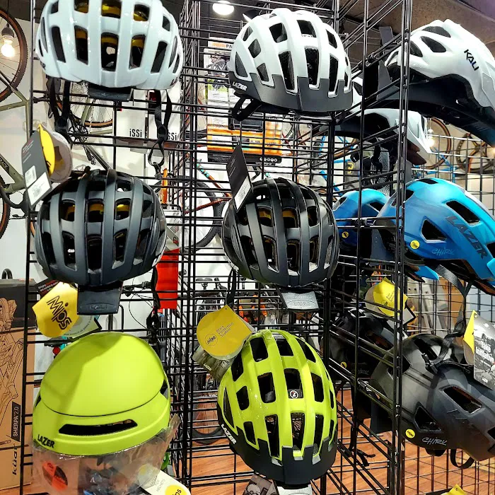 Handy Bikes Picture 4
