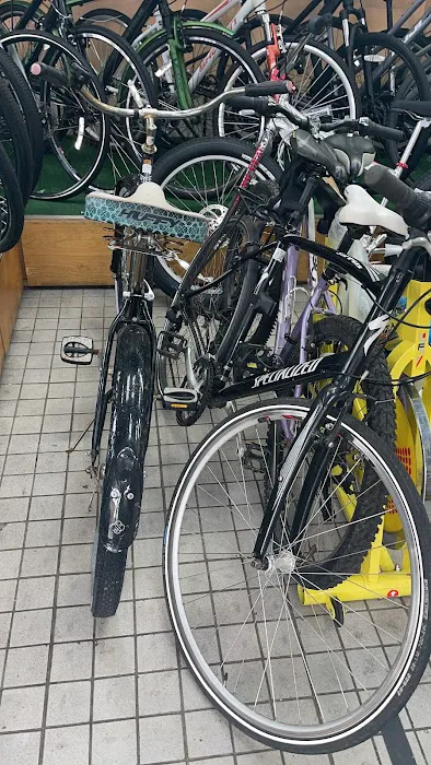 Bike Stop Astoria Picture 1