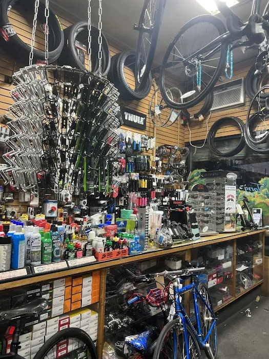 Tony's Bicycles Picture 3