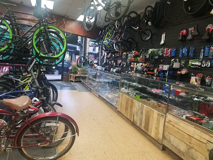 Bill’s Cyclery Bike Shop Picture 4