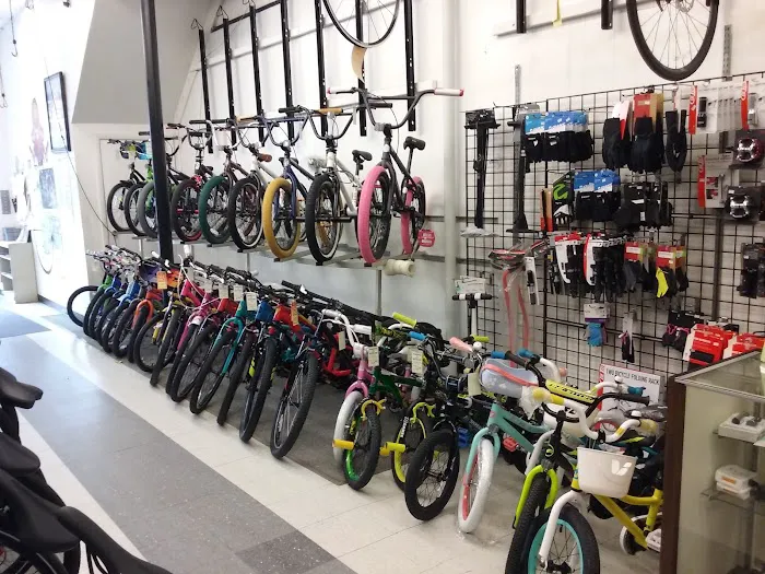 Roberts Bicycles Picture 3